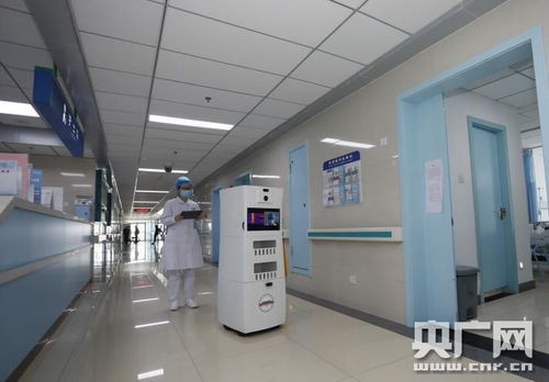 科研團隊要攥緊拳頭張開巴掌——記中國工程院院士、合肥工業大學教授楊善林的網絡工程之道